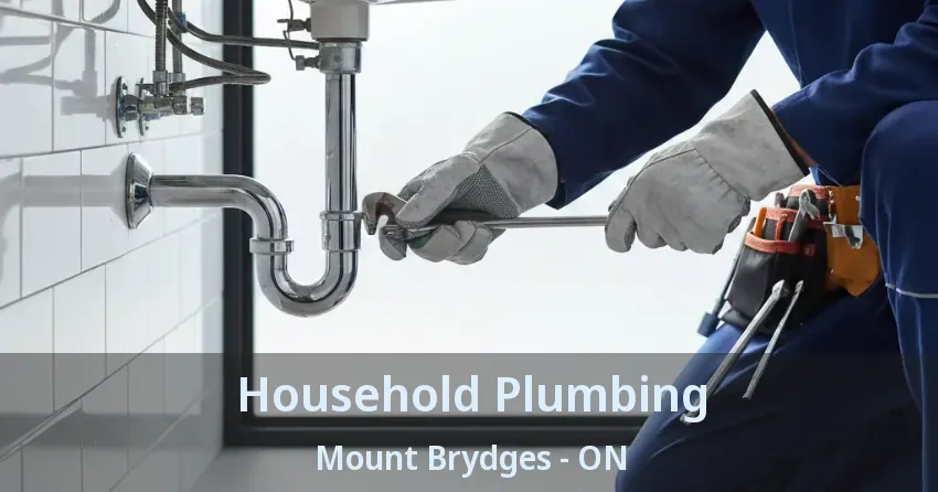 Household Plumbing Mount Brydges - ON