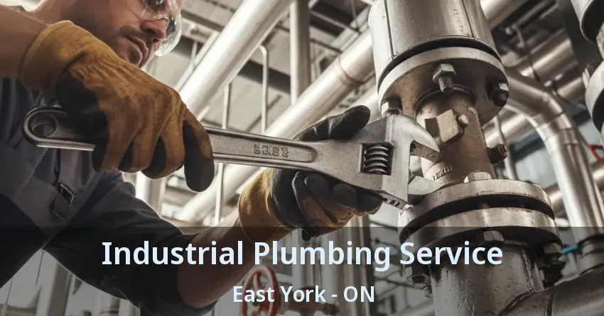 Industrial Plumbing Service East York - ON