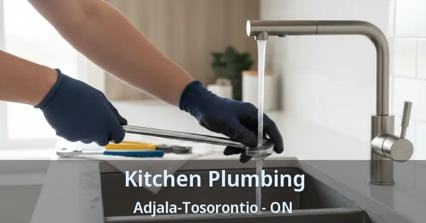 Kitchen Plumbing Adjala-Tosorontio - ON