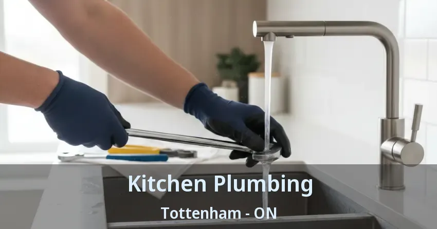 Kitchen Plumbing Tottenham - ON