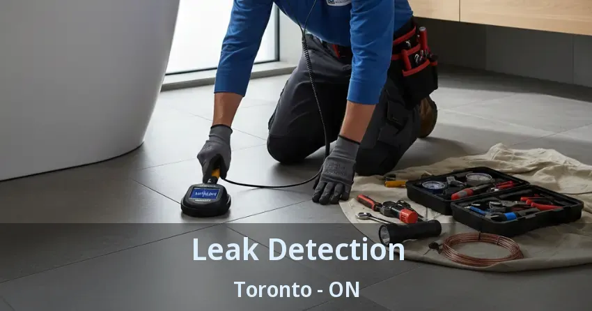Leak Detection Toronto - ON