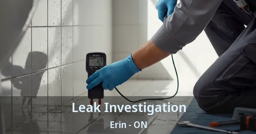 Leak Investigation Erin - ON