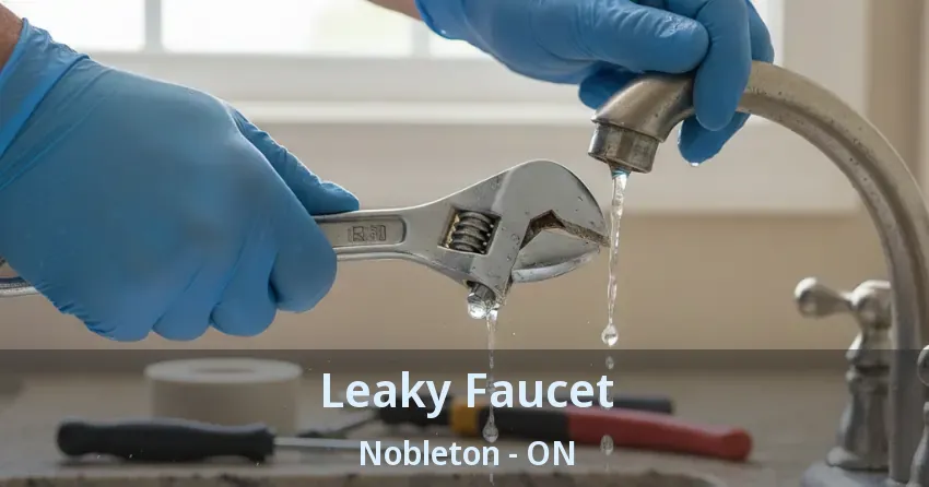 Leaky Faucet Nobleton - ON