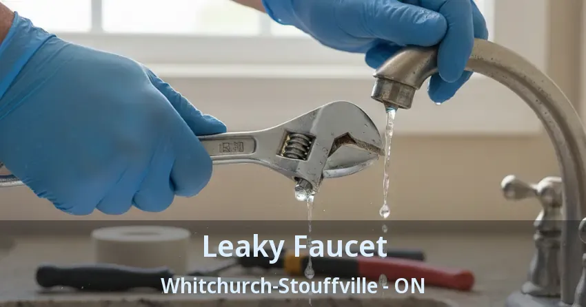 Leaky Faucet Whitchurch-Stouffville - ON