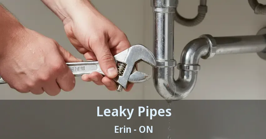 Leaky Pipes Erin - ON