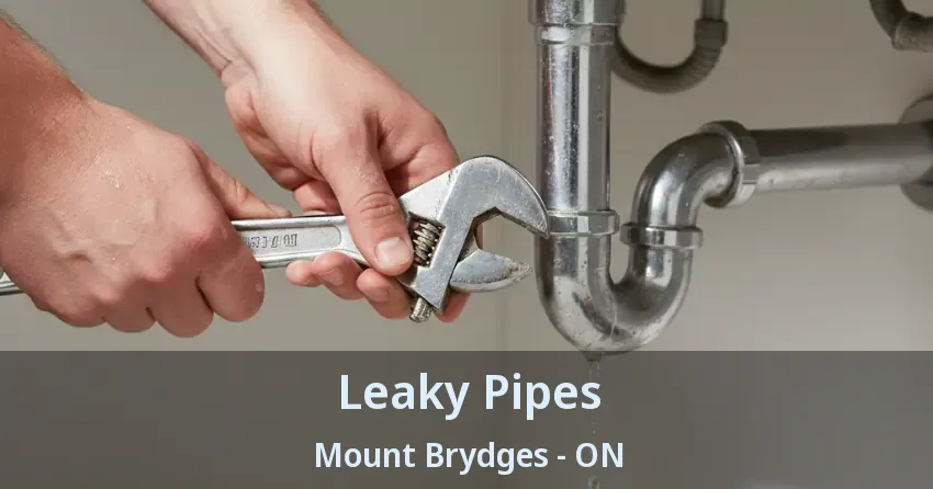 Leaky Pipes Mount Brydges - ON