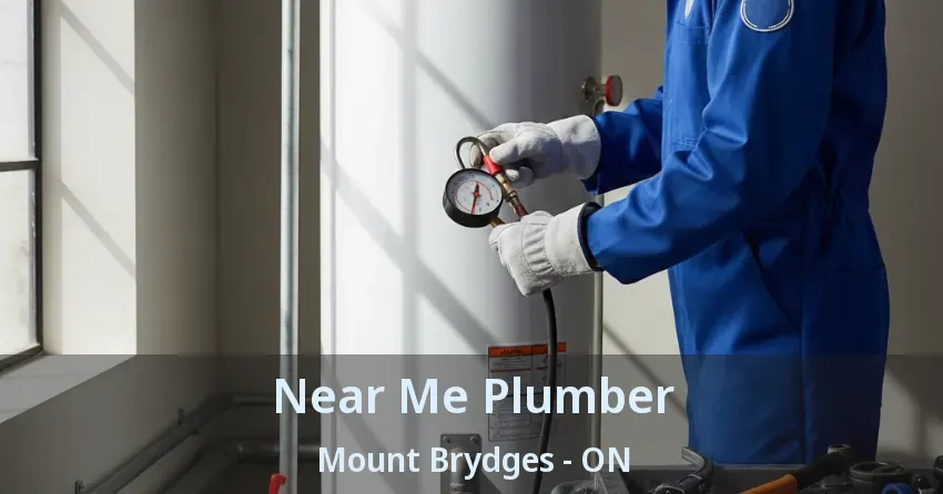 Near Me Plumber Mount Brydges - ON
