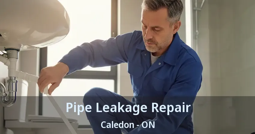 Pipe Leakage Repair Caledon - ON