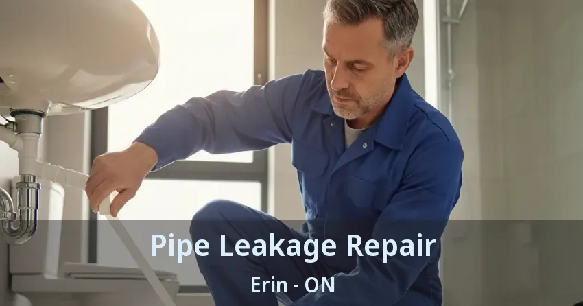Pipe Leakage Repair Erin - ON