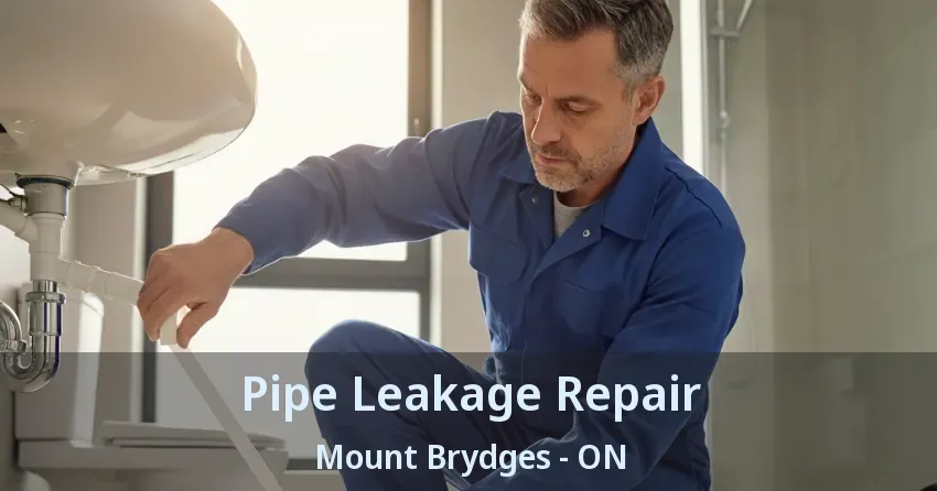 Pipe Leakage Repair Mount Brydges - ON
