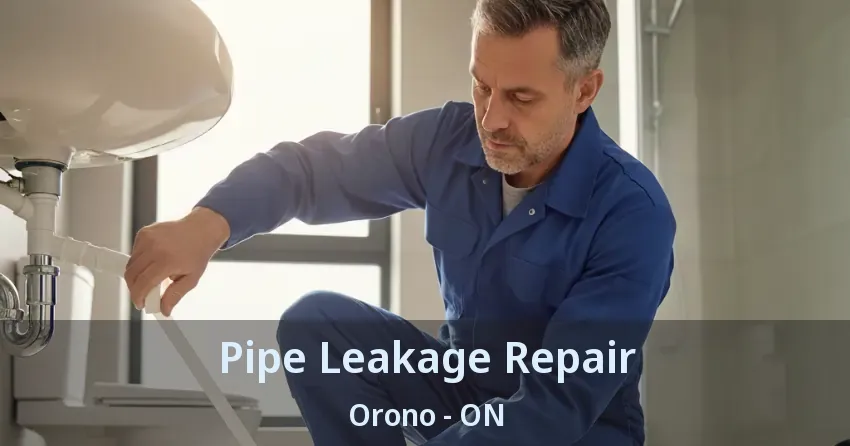 Pipe Leakage Repair Orono - ON