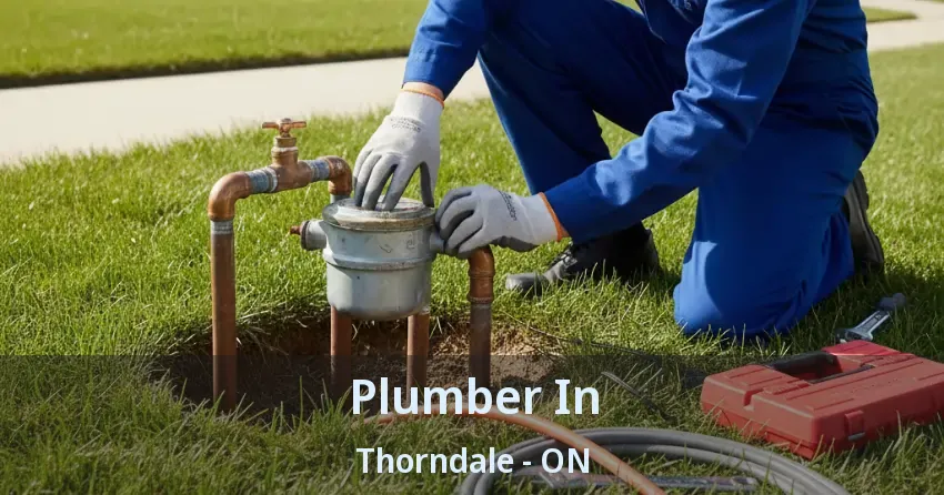 Plumber In Thorndale - ON