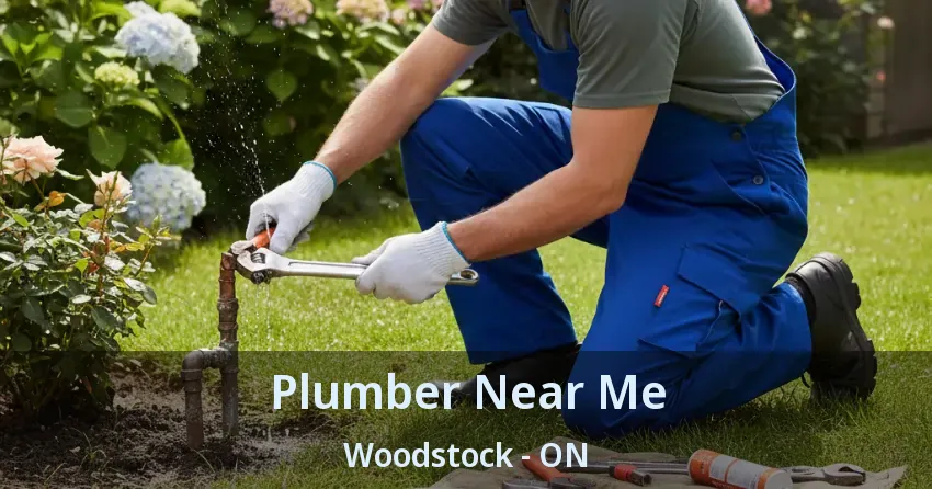 Plumber Near Me Woodstock - ON
