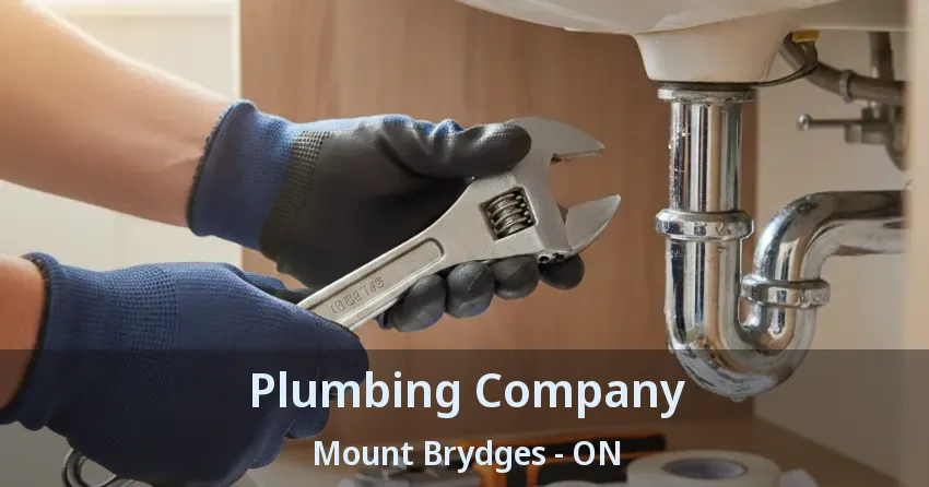 Plumbing Company Mount Brydges - ON