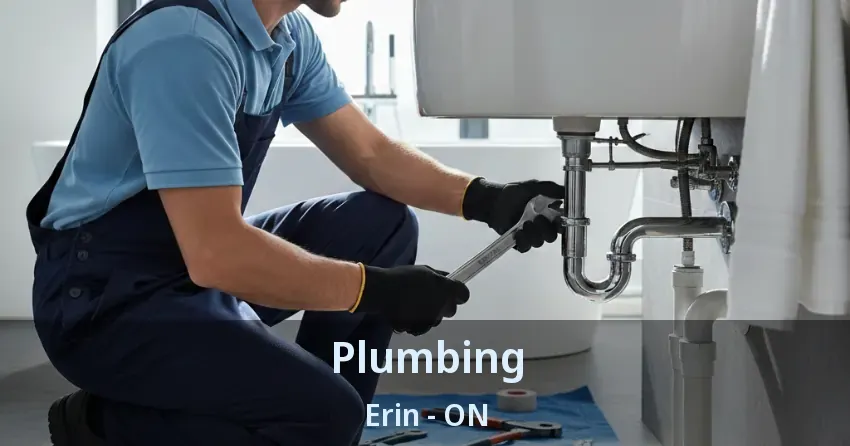 Plumbing Erin - ON