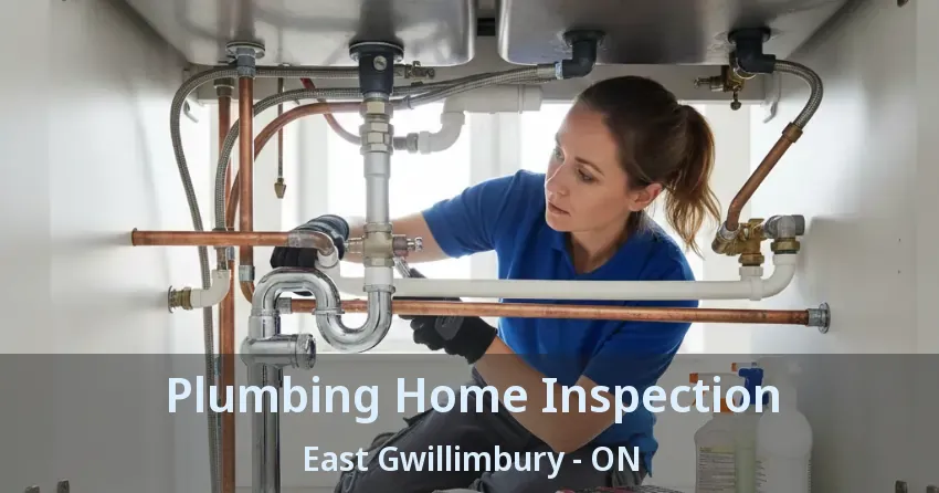 Plumbing Home Inspection East Gwillimbury - ON