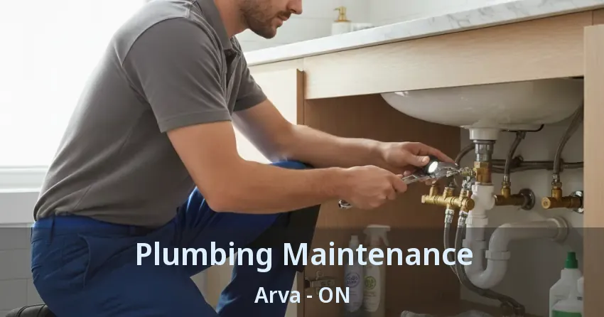 Plumbing Maintenance Arva - ON