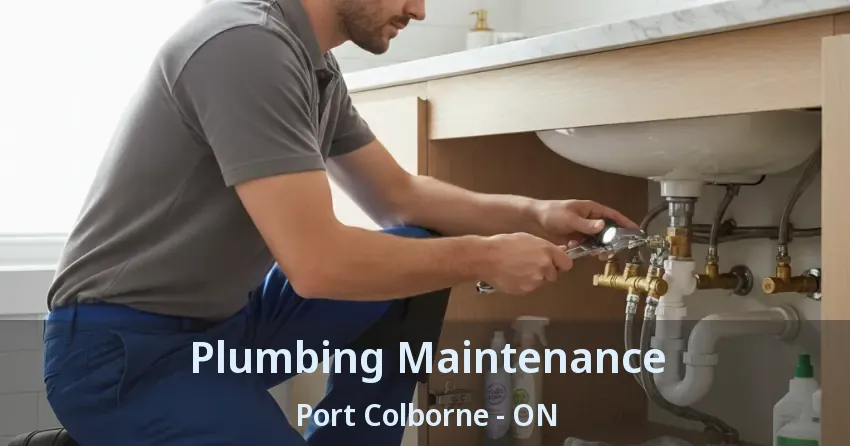 Plumbing Maintenance Port Colborne - ON