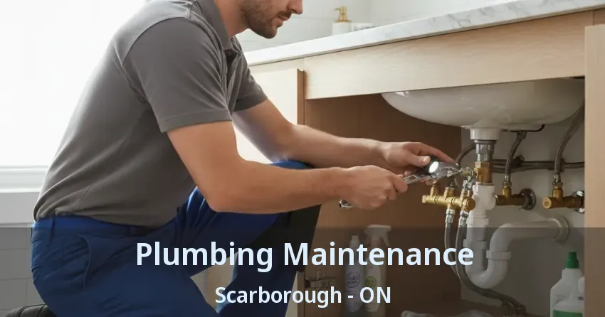 Plumbing Maintenance Scarborough - ON