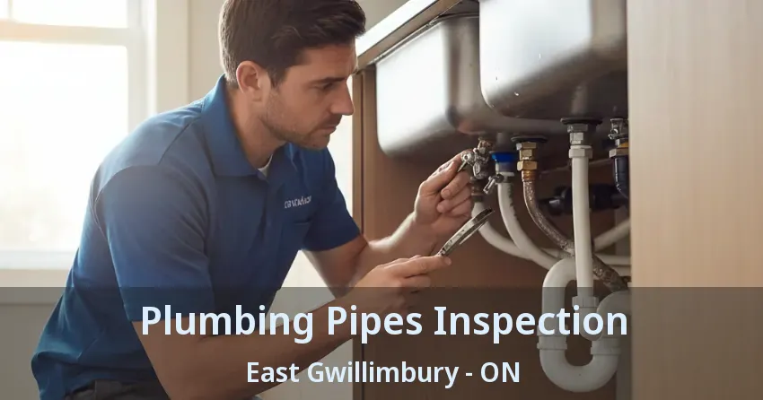 Plumbing Pipes Inspection East Gwillimbury - ON