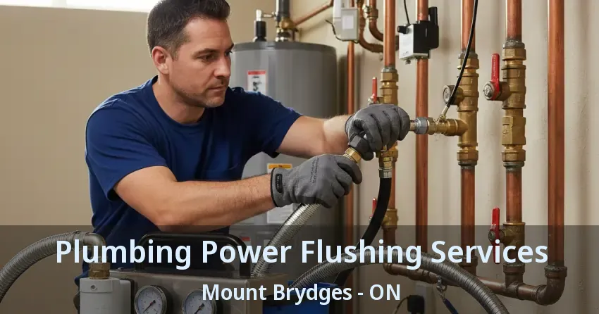 Plumbing Power Flushing Services Mount Brydges - ON