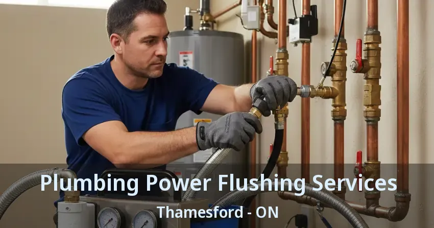 Plumbing Power Flushing Services Thamesford - ON