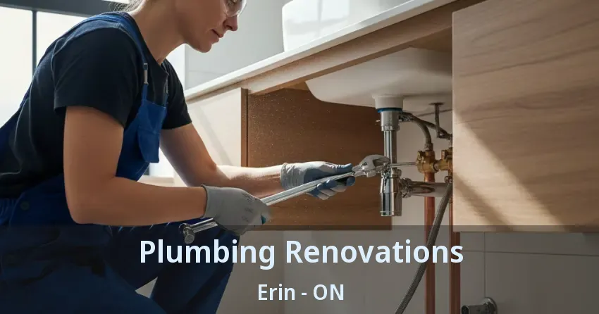Plumbing Renovations Erin - ON