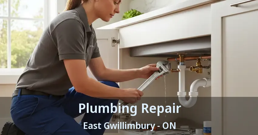Plumbing Repair East Gwillimbury - ON