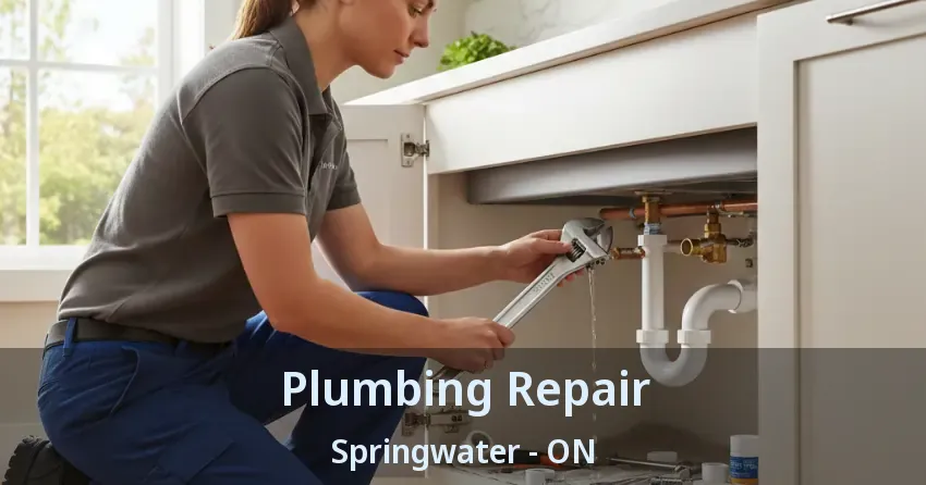 Plumbing Repair Springwater - ON