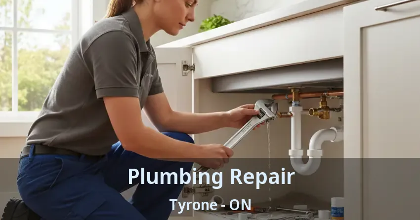 Plumbing Repair Tyrone - ON