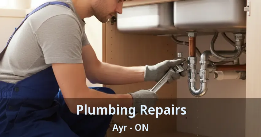 Plumbing Repairs Ayr - ON