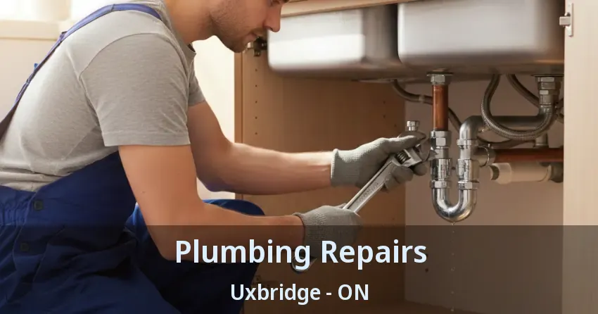Plumbing Repairs Uxbridge - ON