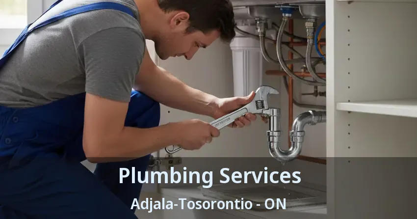 Plumbing Services Adjala-Tosorontio - ON