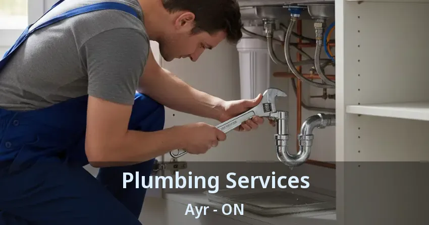 Plumbing Services Ayr - ON