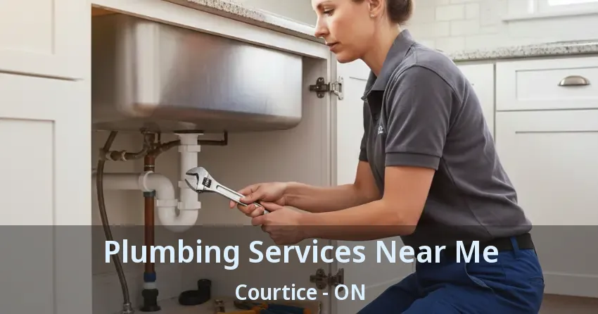 Plumbing Services Near Me Courtice - ON