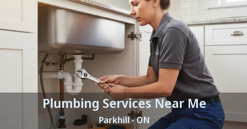 Plumbing Services Near Me Parkhill - ON