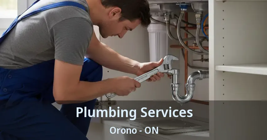 Plumbing Services Orono - ON
