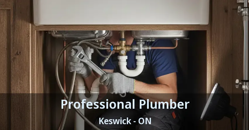 Professional Plumber Keswick - ON