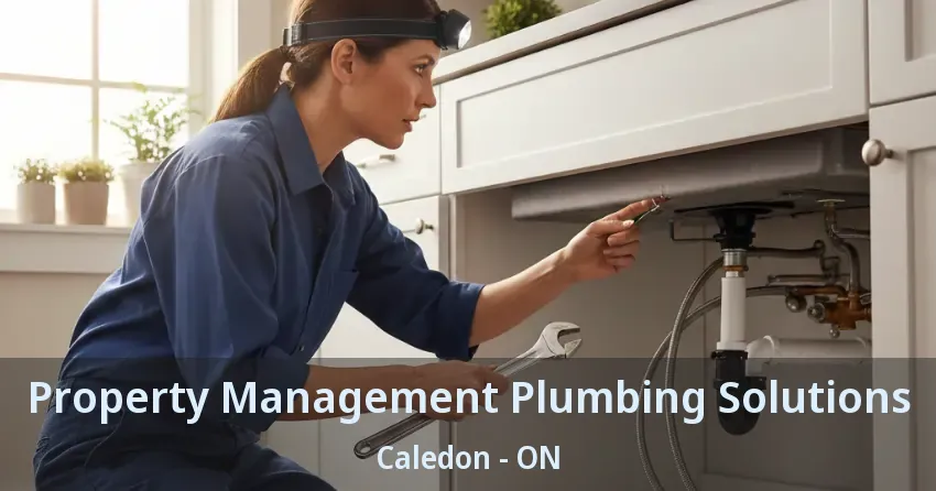 Property Management Plumbing Solutions Caledon - ON