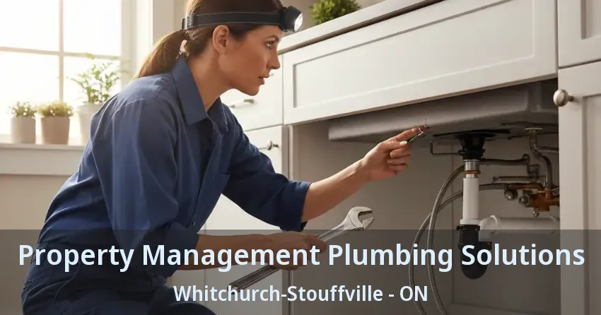 Property Management Plumbing Solutions Whitchurch-Stouffville - ON