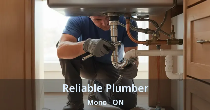 Reliable Plumber Mono - ON