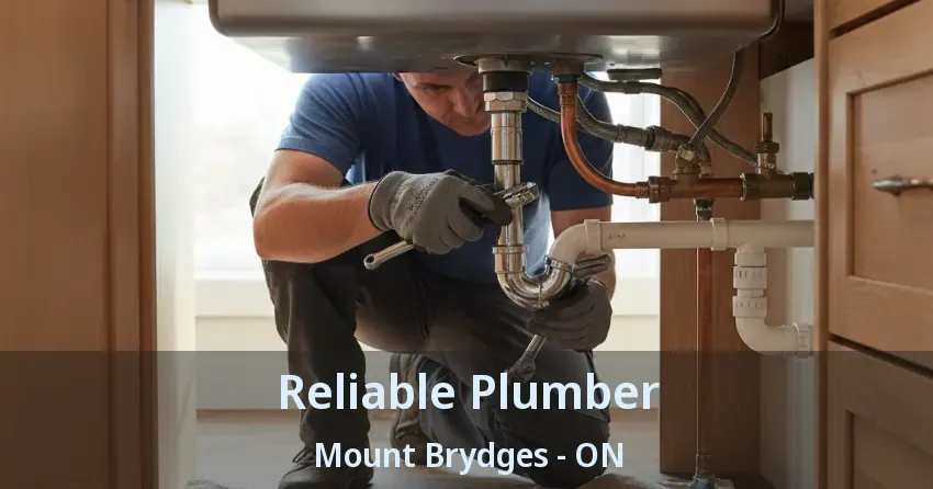 Reliable Plumber Mount Brydges - ON