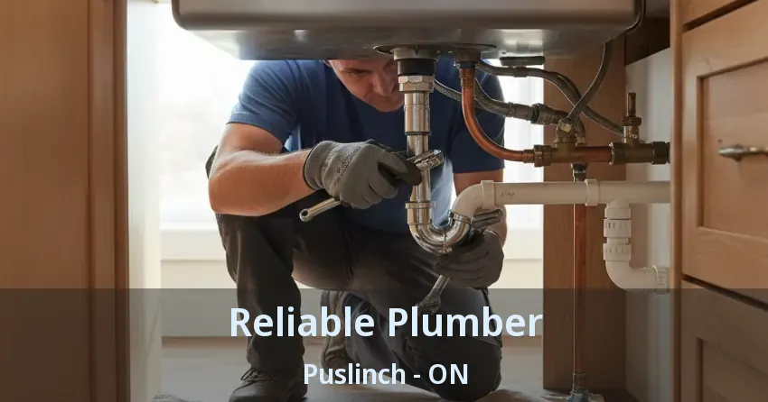 Reliable Plumber Puslinch - ON