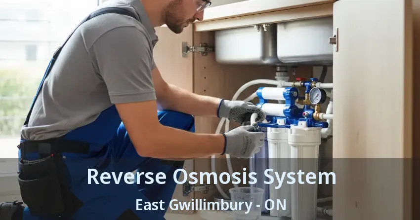 Reverse Osmosis System East Gwillimbury - ON