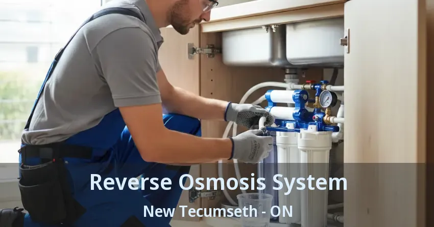 Reverse Osmosis System New Tecumseth - ON