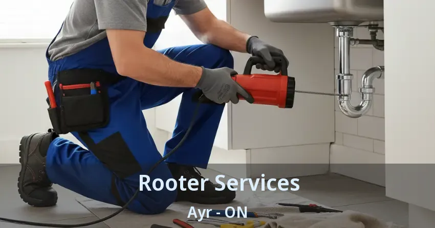 Rooter Services Ayr - ON