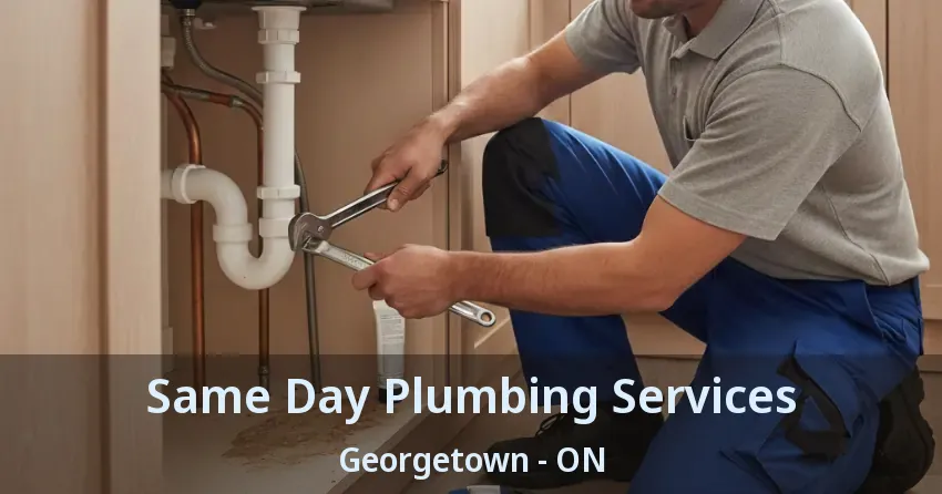 Same Day Plumbing Services Georgetown - ON