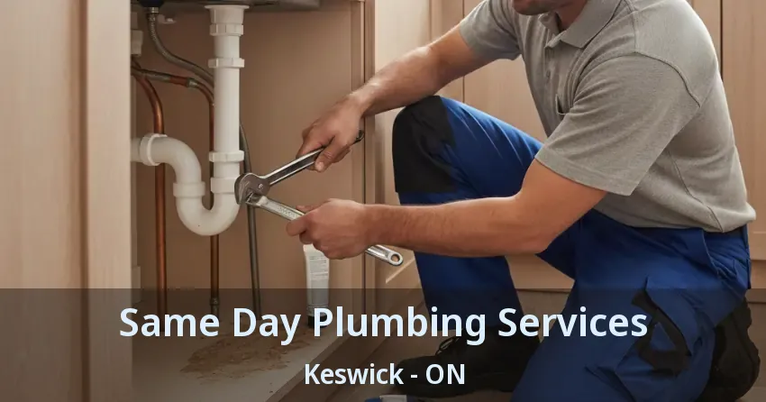 Same Day Plumbing Services Keswick - ON