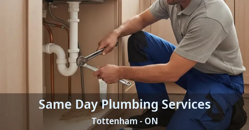 Same Day Plumbing Services Tottenham - ON