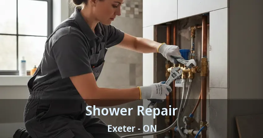 Shower Repair Exeter - ON